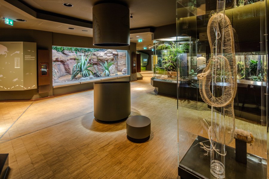 Ausstellung Land, &copy; Copyright/Aquazoo L&ouml;bbecke Museum