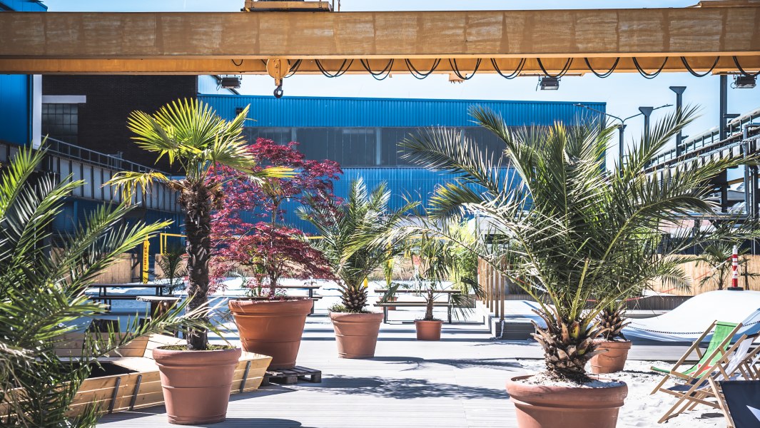 dsc08801, &copy; RheinRiff