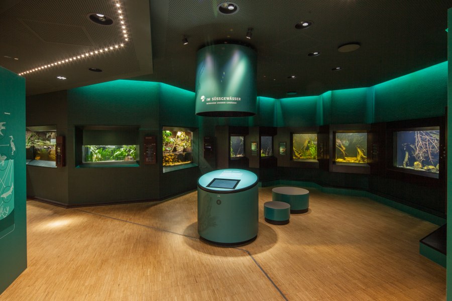 aquazoo_ausstellung_suesswasser_02, © Copyright/Aquazoo Löbbecke Museum