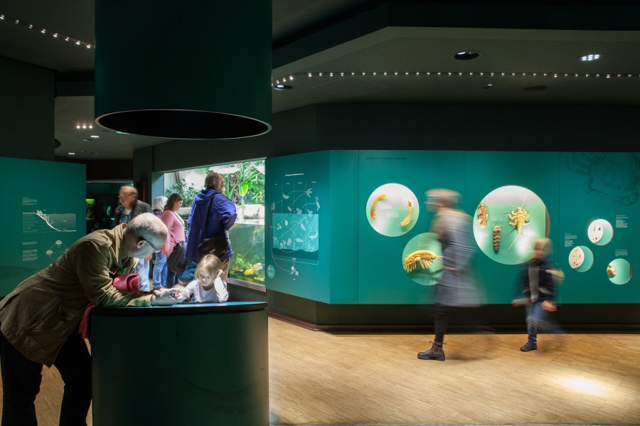 aquazoo_ausstellung_suesswasser_01, © Copyright/Aquazoo Löbbecke Museum