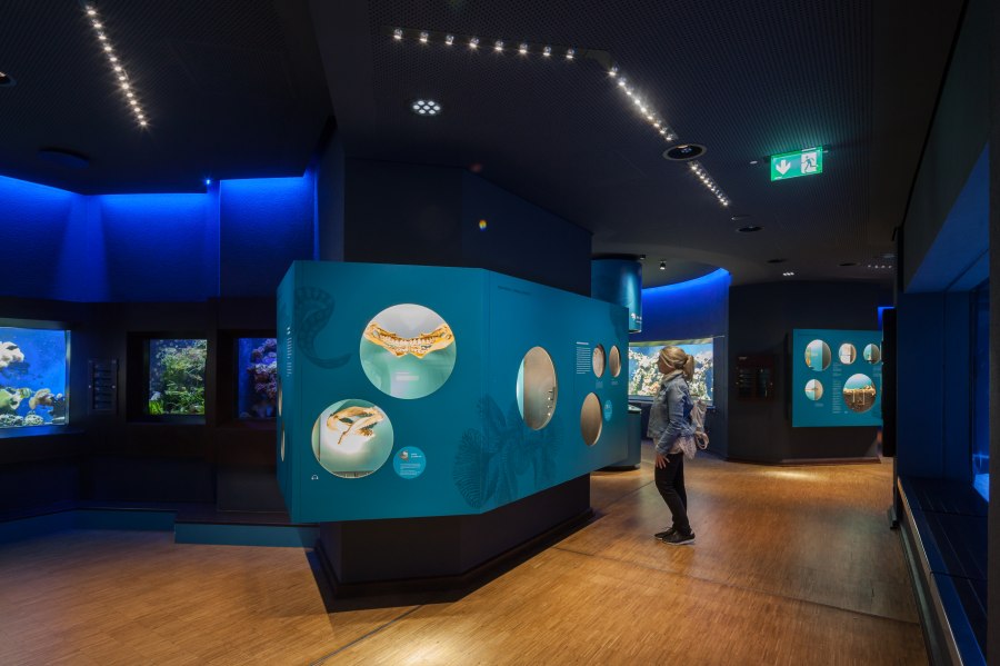 aquazoo_ausstellung_meerwasser, &copy; Copyright/Aquazoo L&ouml;bbecke Museum