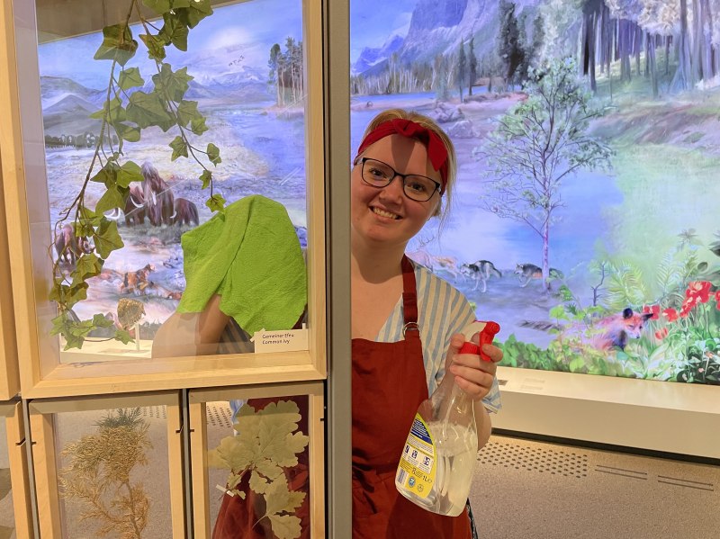 &copy; Copyright/Neanderthal Museum