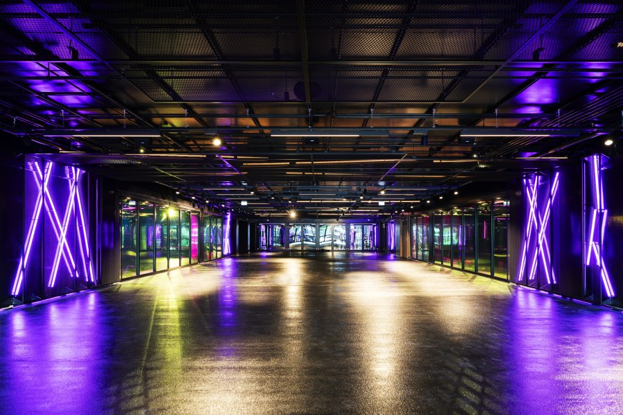 huhn-edit-samuelbecker-comp-spielertunnel-violett, © D.LIVE GmbH & Co. KG