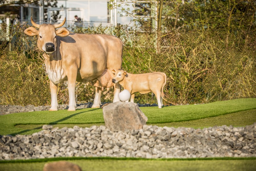 Almgolf, © Copyright/Alpenpark Neuss